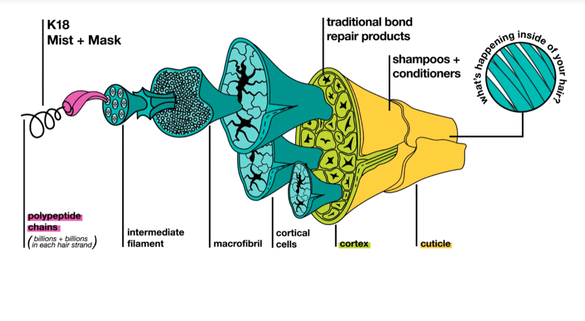 K18 hair treatment detail graphic